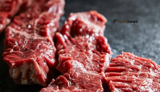 mercado de carne bovina