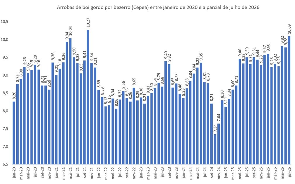 boi gordo por bezerro