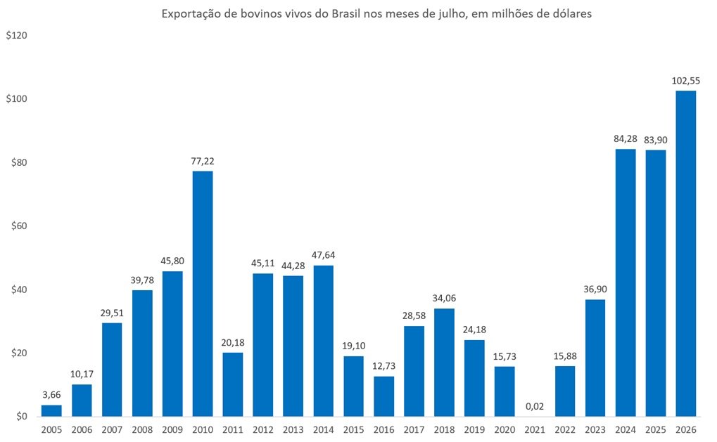 bovinos vivos