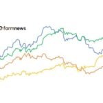 preço em dólares do boi gordo