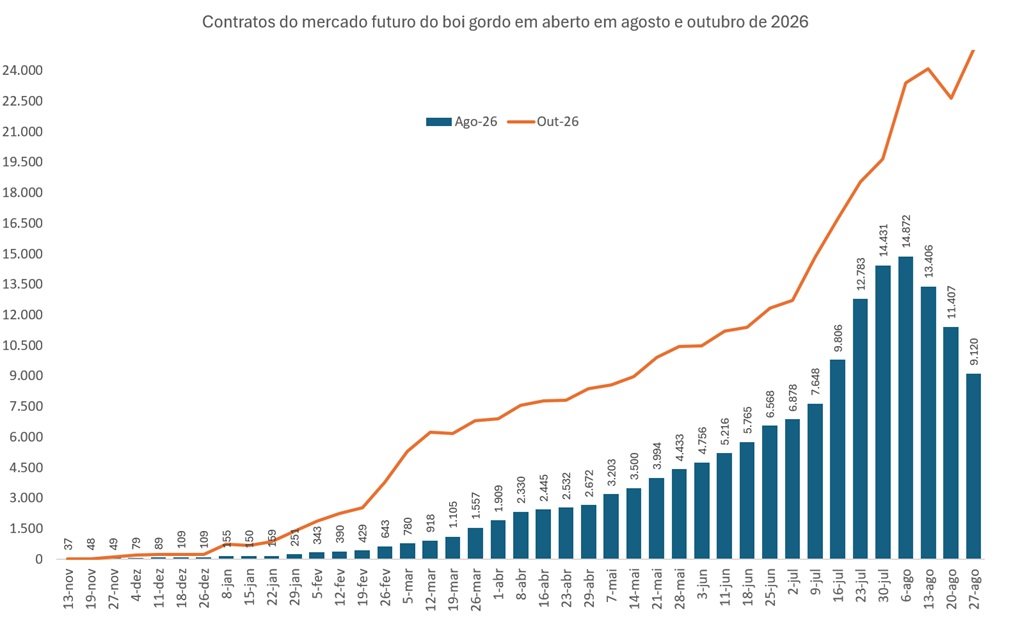 contratos de boi gordo
