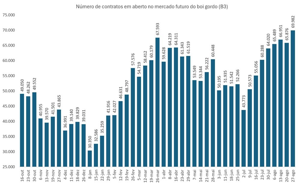 contratos do boi gordo
