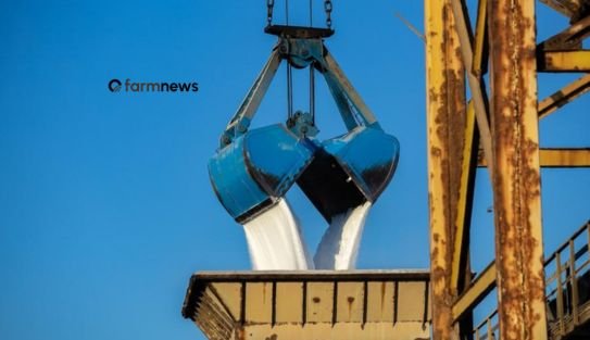 Compra de ureia pelo Brasil volta a subir forte em julho