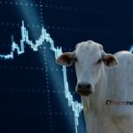 mercado de opções para o boi gordo