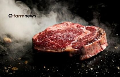 venda de carne bovina