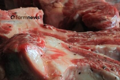 carne bovina