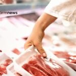 preço da carne bovina