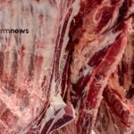carne bovina do Brasil para a UE