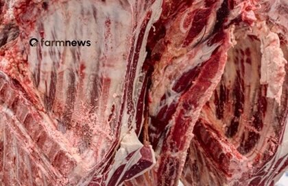 carne bovina do Brasil para a UE
