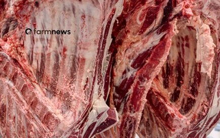 carne bovina do Brasil para a UE