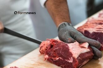 preço da carne bovina sem osso no atacado