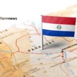 concessões a brasileiros no Paraguai
