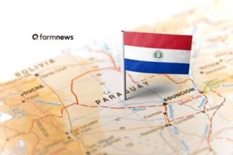 concessões a brasileiros no Paraguai