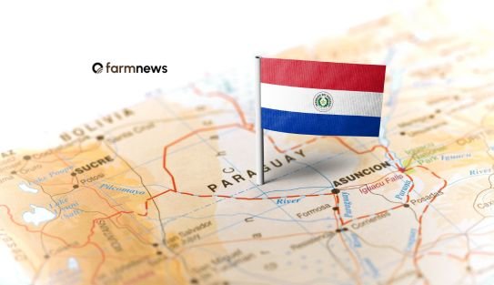 concessões a brasileiros no Paraguai