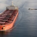 maiores exportadores de fertilizantes para o Brasil