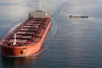 maiores exportadores de fertilizantes para o Brasil
