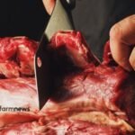 consumo de carne bovina
