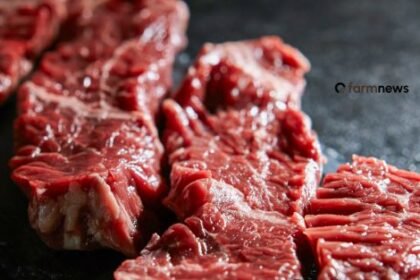 venda de carne bovina do Brasil