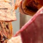 compra de carne bovina do Brasil pela Rússia
