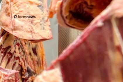 compra de carne bovina do Brasil pela Rússia