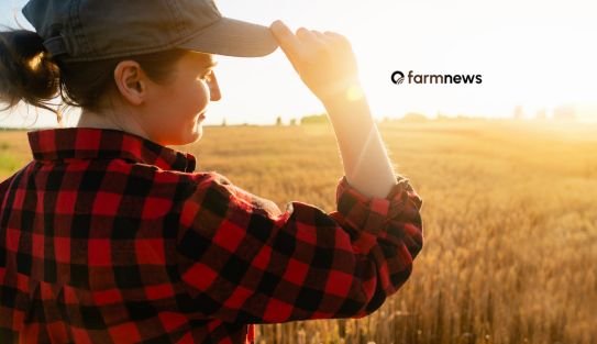 marketing no agro