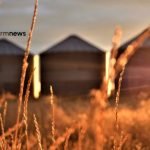 sistema agroindustrial
