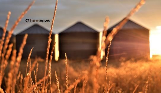 sistema agroindustrial