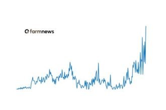 exportação de bovinos vivos