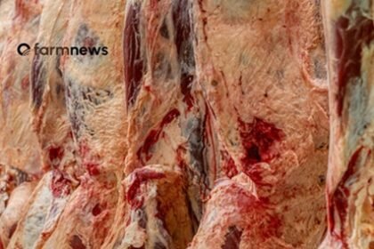 carne bovina do Brasil