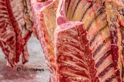 preço da carne bovina no atacado