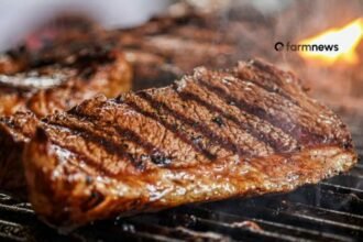 preço da carne bovina nos EUA