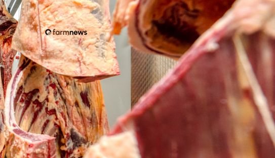 venda de carne bovina do Brasil para a China