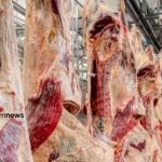 exportação de carne bovina