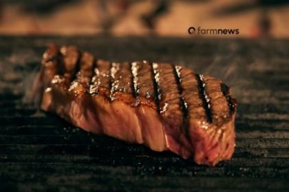 venda de carne bovina