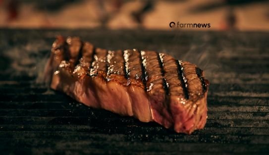 preço de carne bovina nos EUA
