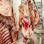 preço da carne bovina nos EUA