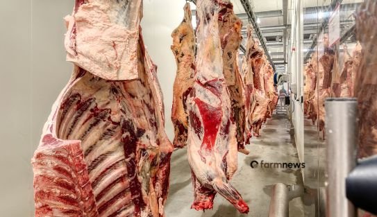 preço da carne bovina nos EUA