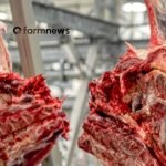 carne bovina do Brasil para a China