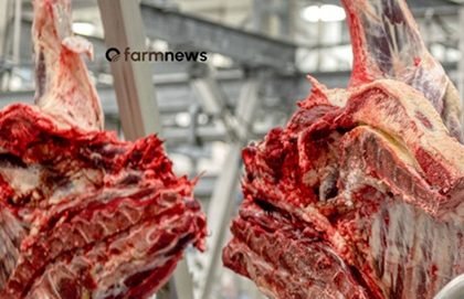carne bovina do Brasil para a China